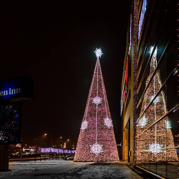 Świąteczne Millenium Hall