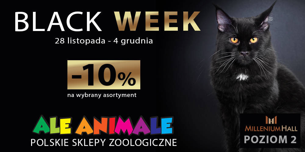 BLACK WEEK w Millenium Hall - AleAnimale - 1